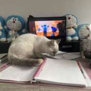 ヒメ日記 2026/03/20 20:16 投稿 あや スピード梅田店