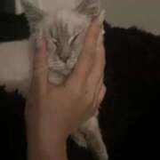 ヒメ日記 2026/03/24 20:22 投稿 あや スピード梅田店