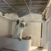 ヒメ日記 2026/03/30 18:02 投稿 あや スピード梅田店