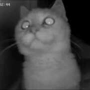 ヒメ日記 2026/04/02 20:52 投稿 あや スピード梅田店