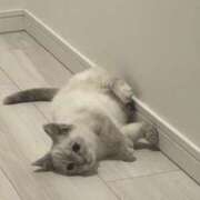 ヒメ日記 2026/04/08 17:12 投稿 あや スピード梅田店