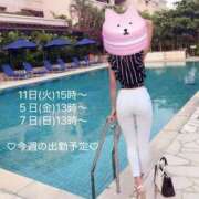 ヒメ日記 2025/09/01 08:29 投稿 れい ジャパンクラブ富士