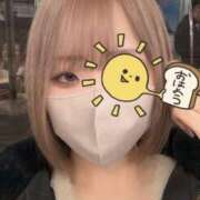 ヒメ日記 2025/12/03 01:05 投稿 りおん【感度抜群素人大学生】 STELLA TOKYO－ステラトウキョウ－