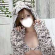 りおん【感度抜群素人大学生】 😼 STELLA TOKYO－ステラトウキョウ－
