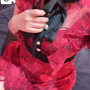 ヒメ日記 2025/11/20 08:29 投稿 雪(ゆき) チューリップ宇都宮店