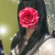 ヒメ日記 2025/08/15 16:31 投稿 みなみ ビデオDEはんど 名古屋校