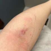 つきひ お知らせ 恋愛生欲情の扉