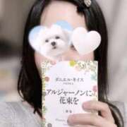 ヒメ日記 2025/10/18 20:46 投稿 さき マリン宇都宮店