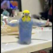 ヒメ日記 2025/11/03 06:08 投稿 さき マリン宇都宮店