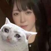 ヒメ日記 2025/08/18 15:18 投稿 れいか クラブダイアモンド新宿店