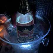 ヒメ日記 2026/02/28 14:51 投稿 れな ビアガーデンカーニバル