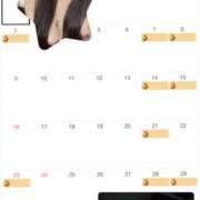 ヒメ日記 2025/10/31 11:31 投稿 ミカン WRAITH（レイス）