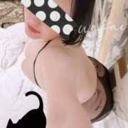 ヒメ日記 2025/09/02 08:10 投稿 若井 新宿人妻城