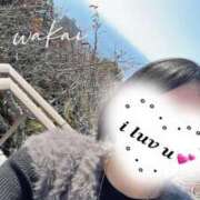 ヒメ日記 2025/11/28 21:41 投稿 若井 新宿人妻城