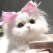 ヒメ日記 2025/08/28 21:34 投稿 広瀬みい 手コキ研修塾