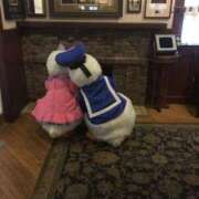 ヒメ日記 2025/09/18 00:34 投稿 広瀬みい 手コキ研修塾