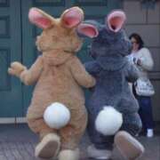 ヒメ日記 2025/11/01 23:24 投稿 広瀬みい 手コキ研修塾