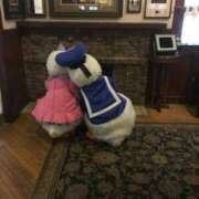 ヒメ日記 2025/11/25 19:45 投稿 広瀬みい 手コキ研修塾