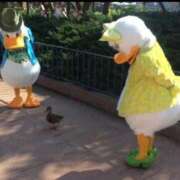 ヒメ日記 2025/11/28 19:14 投稿 広瀬みい 手コキ研修塾