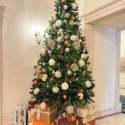 ヒメ日記 2025/12/17 10:14 投稿 葵【アオイ】 ピンクコレクション大阪