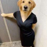 ヒメ日記 2025/09/03 20:25 投稿 水野あみ 市原五井蘇我ちゃんこ