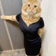 ヒメ日記 2025/09/16 22:55 投稿 水野あみ 市原五井蘇我ちゃんこ