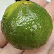 ヒメ日記 2025/10/12 22:15 投稿 水野あみ 市原五井蘇我ちゃんこ