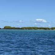 ヒメ日記 2025/10/14 22:55 投稿 水野あみ 市原五井蘇我ちゃんこ