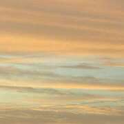 ヒメ日記 2025/10/29 17:15 投稿 水野あみ 市原五井蘇我ちゃんこ