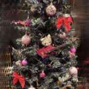 水野あみ ただいまっ 市原五井蘇我ちゃんこ