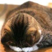 ヒメ日記 2025/12/22 11:35 投稿 水野あみ 市原五井蘇我ちゃんこ