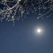 ヒメ日記 2026/02/02 21:45 投稿 水野あみ 市原五井蘇我ちゃんこ