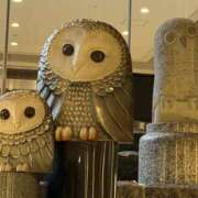 ヒメ日記 2026/02/16 08:25 投稿 水野あみ 市原五井蘇我ちゃんこ