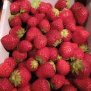 ヒメ日記 2026/03/02 14:42 投稿 水野あみ 市原五井蘇我ちゃんこ