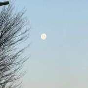 ヒメ日記 2026/03/19 12:25 投稿 水野あみ 市原五井蘇我ちゃんこ