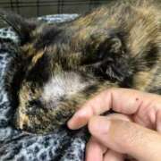 ヒメ日記 2025/09/19 12:26 投稿 福山女医 病院