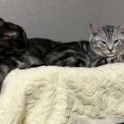 ヒメ日記 2025/09/20 17:26 投稿 福山女医 病院