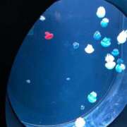 ヒメ日記 2025/10/22 16:26 投稿 福山女医 病院