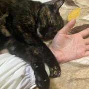 ヒメ日記 2025/11/14 21:46 投稿 福山女医 病院