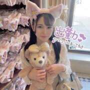 ヒメ日記 2025/11/26 08:00 投稿 ほとり ホワイトハウス