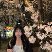 ヒメ日記 2026/03/31 18:46 投稿 ふう プロフィール天王寺