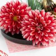 ヒメ日記 2026/01/04 11:44 投稿 白川 人妻風俗チャンネル