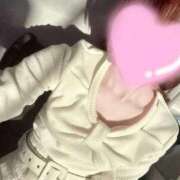 ヒメ日記 2025/12/26 08:41 投稿 ひるね 卒業したて。