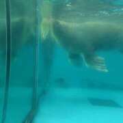 ヒメ日記 2025/09/05 12:50 投稿 七星　さらり エテルナ京都