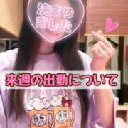 ヒメ日記 2026/06/14 09:19 投稿 神崎しおり シロガネーゼ