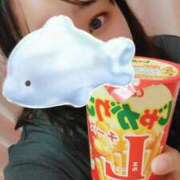 ヒメ日記 2025/09/20 23:57 投稿 ありさ 愛知三河安城岡崎ちゃんこ