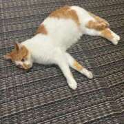 ヒメ日記 2025/09/05 12:39 投稿 牧(まき) 鶯谷デッドボール