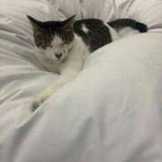 ヒメ日記 2025/10/05 10:09 投稿 牧(まき) 鶯谷デッドボール