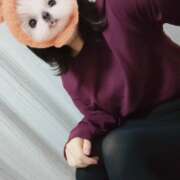 ヒメ日記 2026/01/08 20:07 投稿 もも サンキュー沼津店（サンキューグループ）