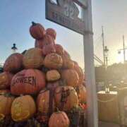 ヒメ日記 2025/09/16 17:33 投稿 ゆき アクトレス池袋店(ユメオト)